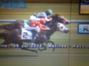 Photo finish of Maximum Ride